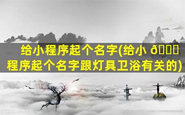 给小程序起个名字(给小 🐒 程序起个名字跟灯具卫浴有关的)